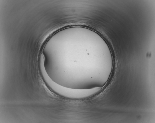 X0000113150789200910021501