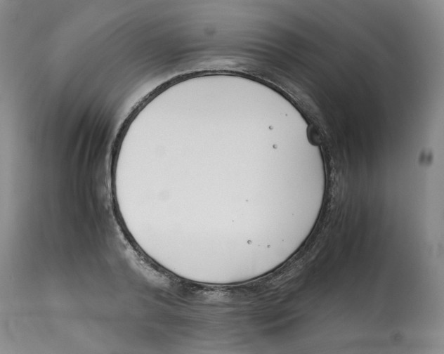 X0000113150792200910021501