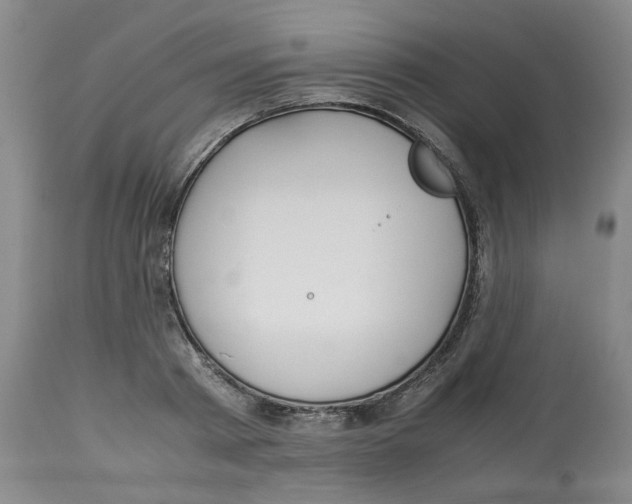 X0000113150793200910021501