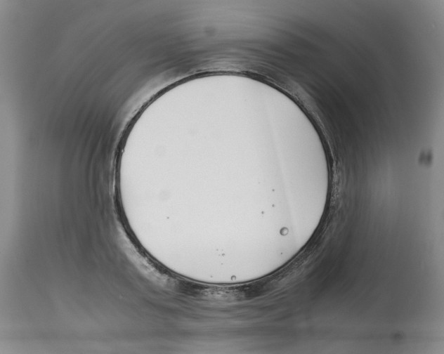 X0000113150795200910021501