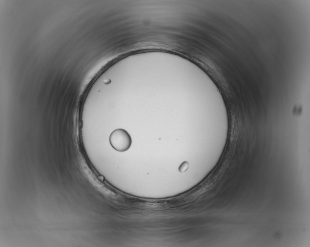 X0000113150796200910021501