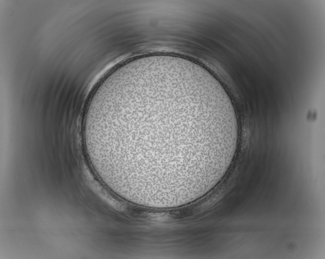 X0000113150798200910021501