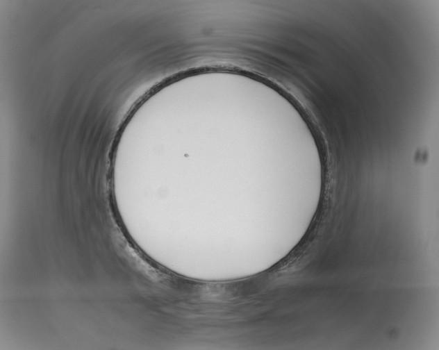 X0000113150799200910021501