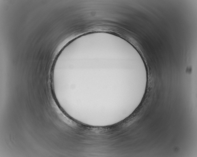 X0000113150803200910021501