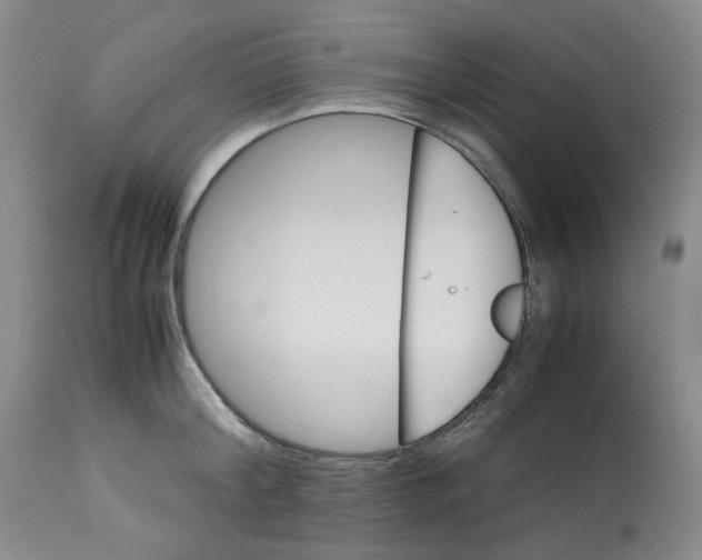 X0000113150804200910021501