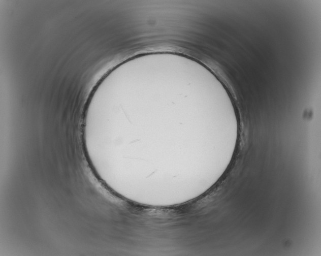 X0000113150805200910021501