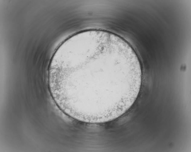 X0000113150807200910021501