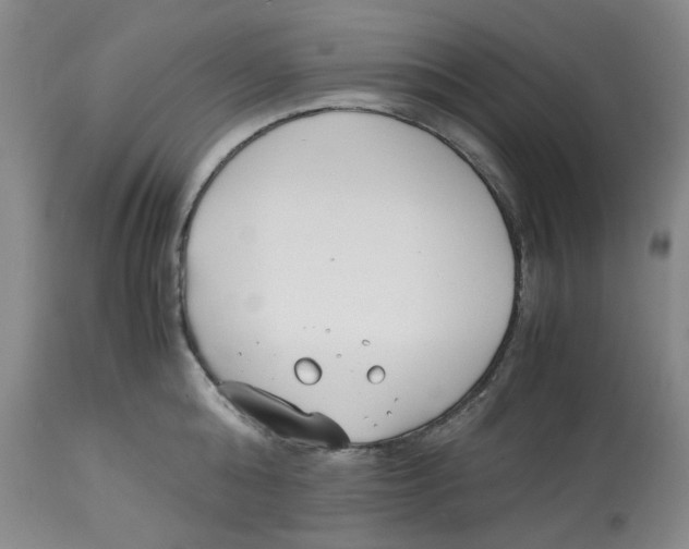 X0000113150808200910021501