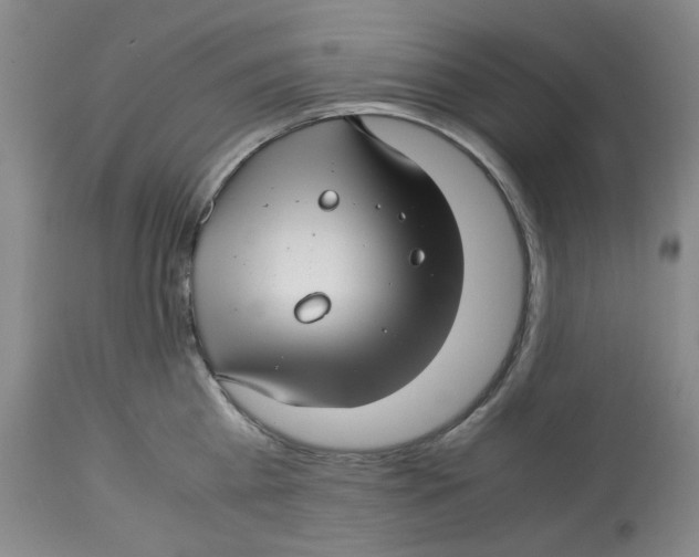 X0000113150809200910021501