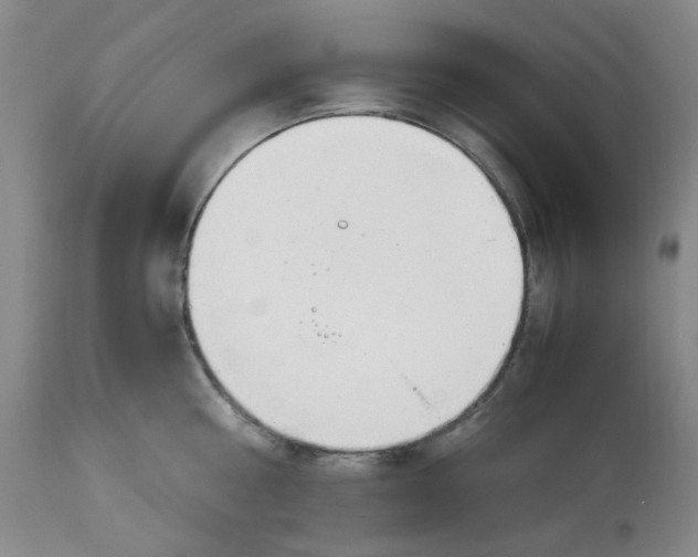 X0000113150810200910021501