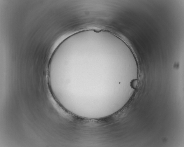 X0000113150811200910021501