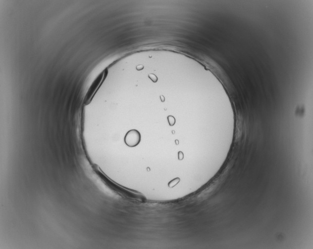 X0000113150812200910021501