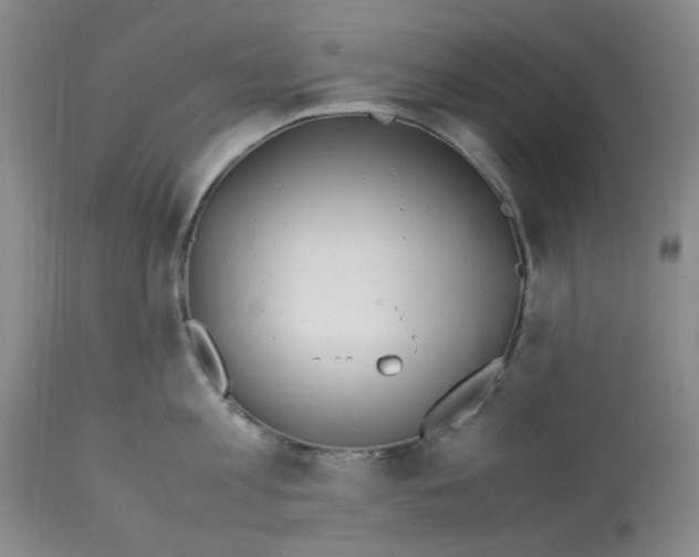 X0000113150813200910021501