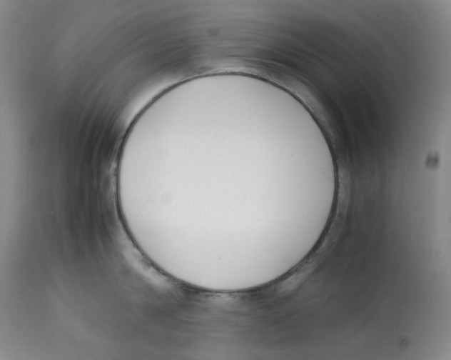 X0000113150814200910021501