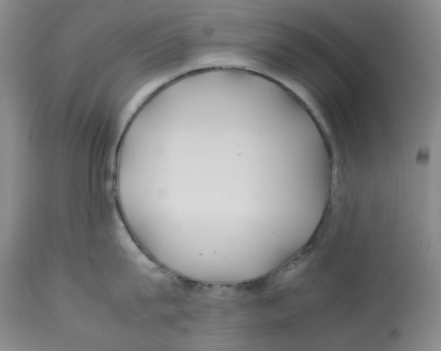 X0000113150815200910021501