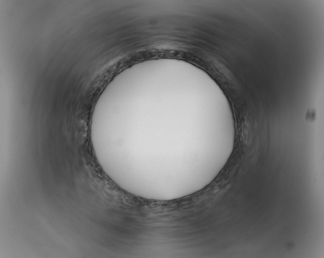 X0000113150821200910021500