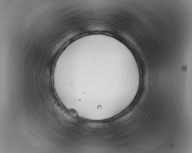 X0000113150825200910021500