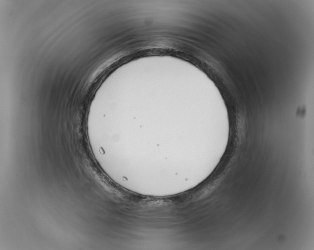 X0000113150826200910021500