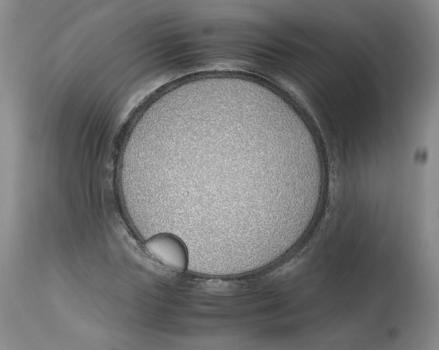 X0000113150827200910021500