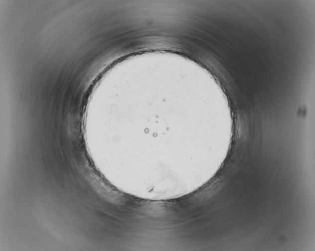 X0000113150828200910021500