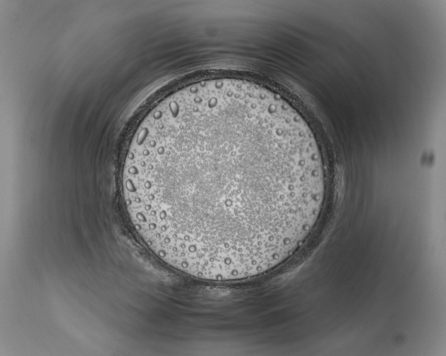 X0000113150829200910021500