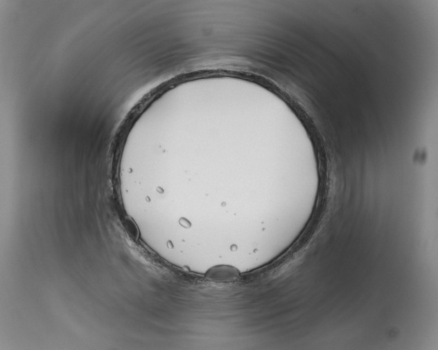 X0000113150830200910021500