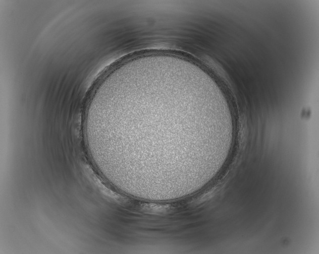 X0000113150831200910021500