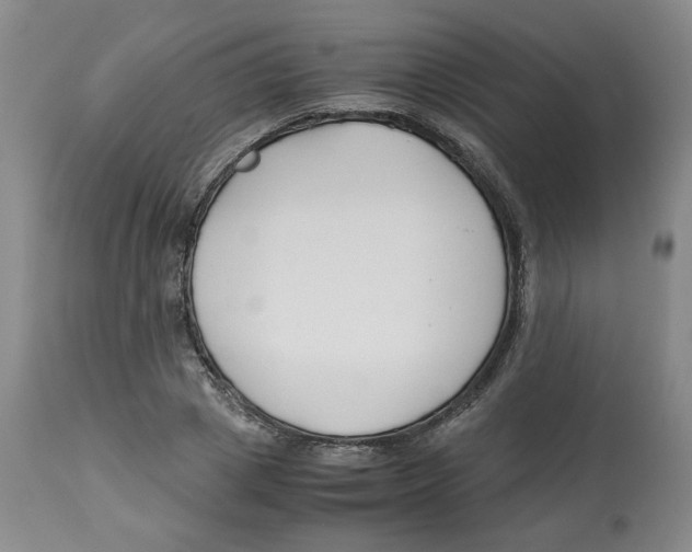 X0000113150833200910021500