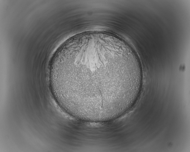 X0000113150835200910021500