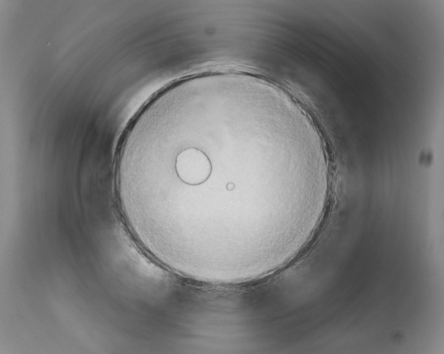 X0000113150836200910021500