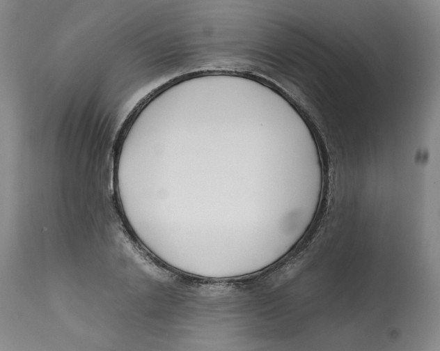 X0000113150838200910021500