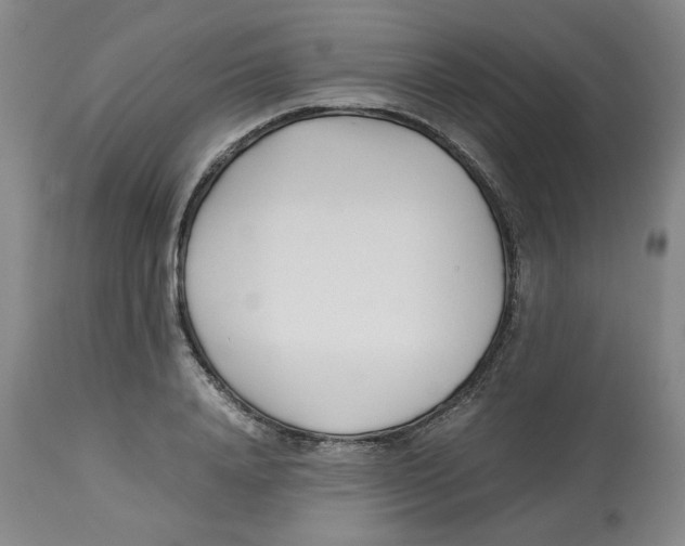 X0000113150840200910021500