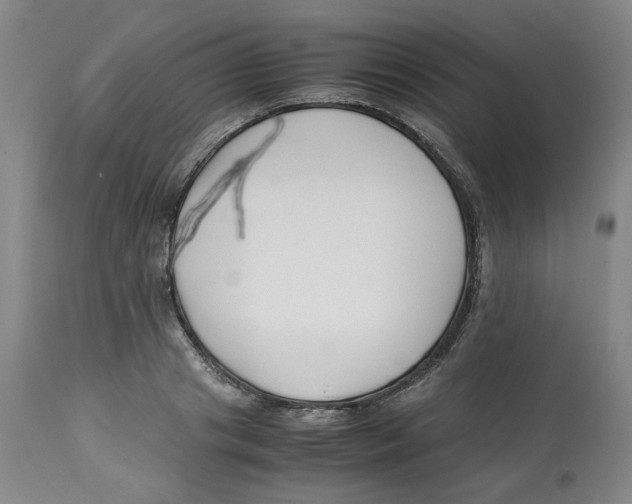 X0000113150841200910021500