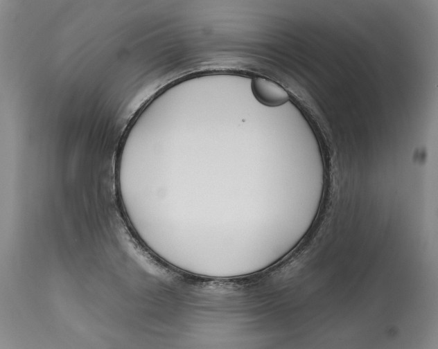 X0000113150842200910021500