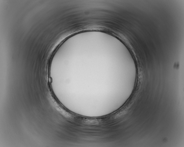 X0000113150843200910021500