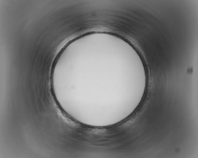 X0000113150845200910021500