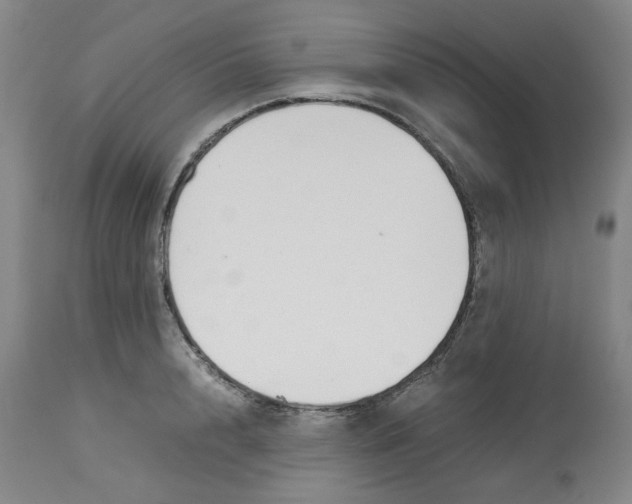 X0000113150848200910021501