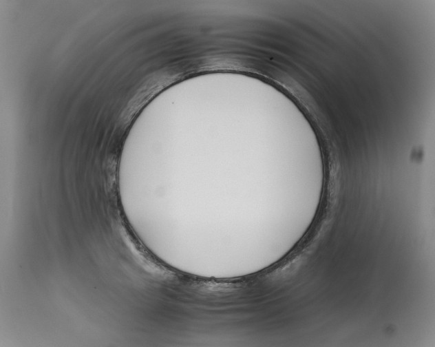 X0000113150849200910021501