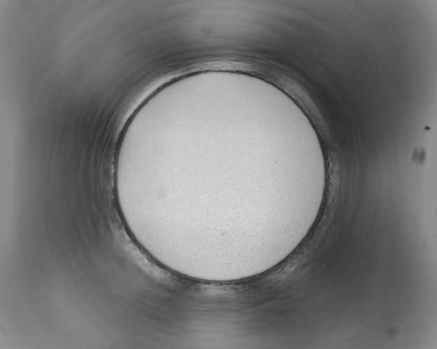 X0000113150852200910021501