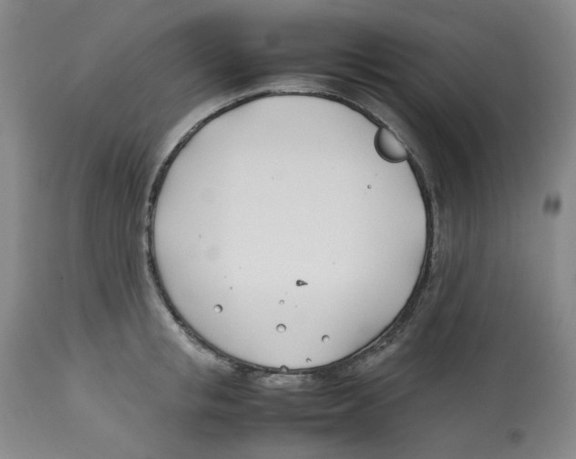 X0000113150853200910021501