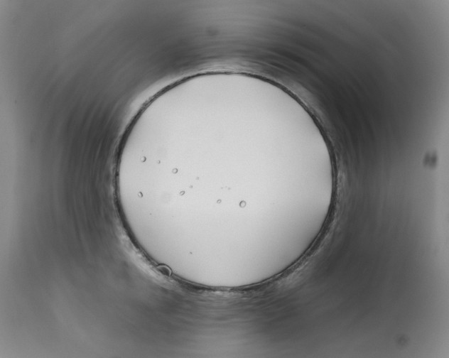 X0000113150854200910021501