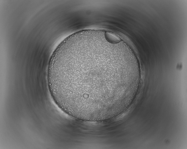 X0000113150855200910021501