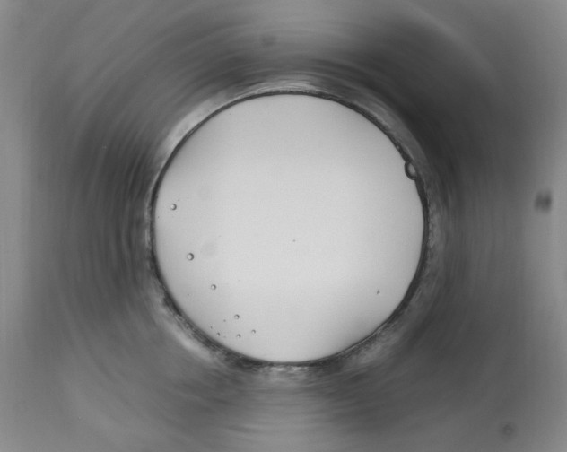 X0000113150858200910021501