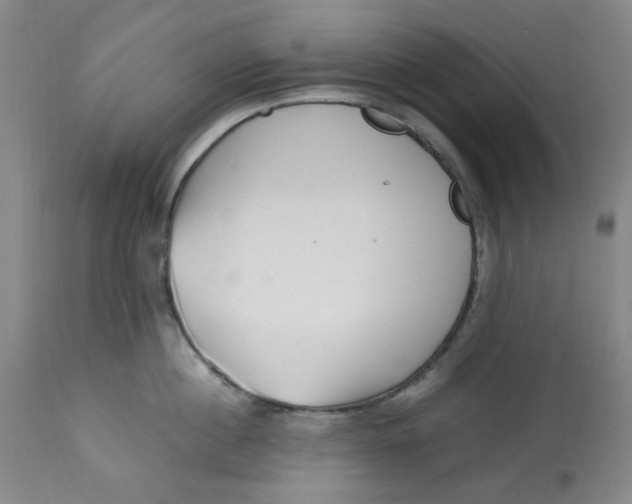 X0000113150860200910021501