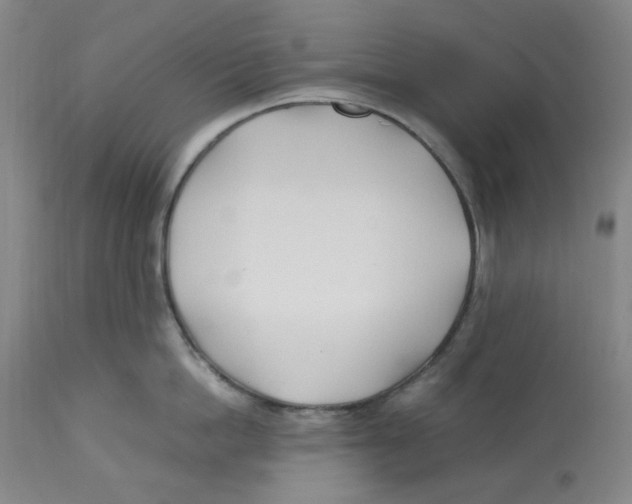 X0000113150862200910021501