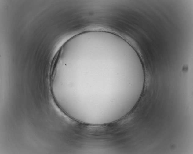 X0000113150863200910021501