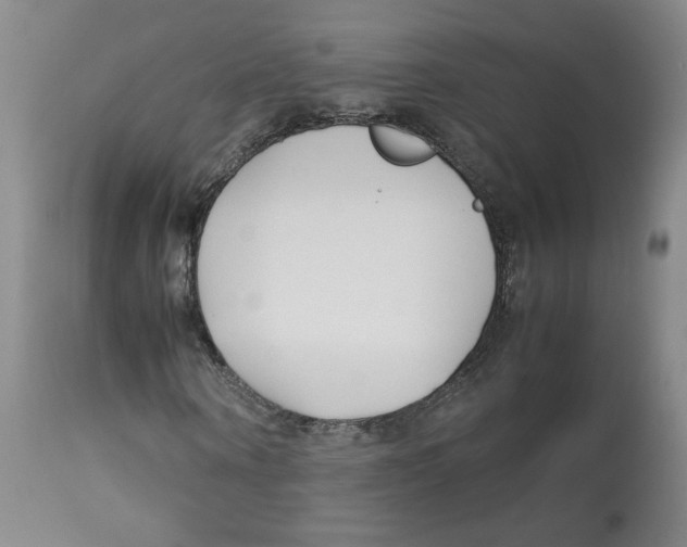 X0000113150866200910021500