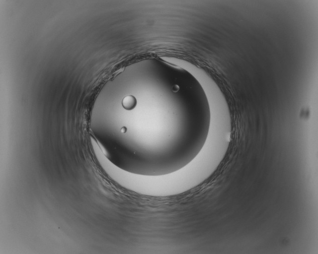 X0000113150868200910021500