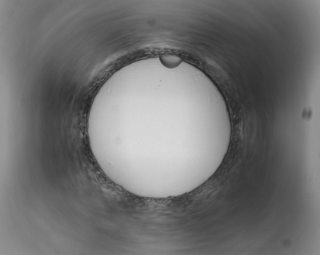 X0000113150870200910021500