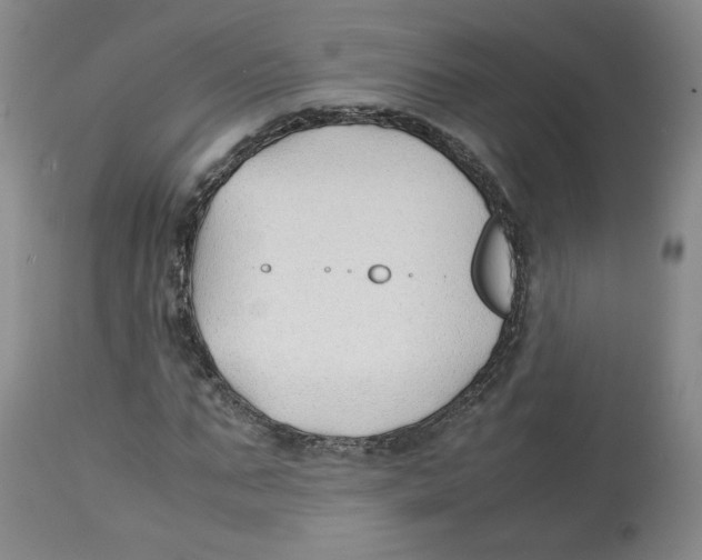 X0000113150871200910021500